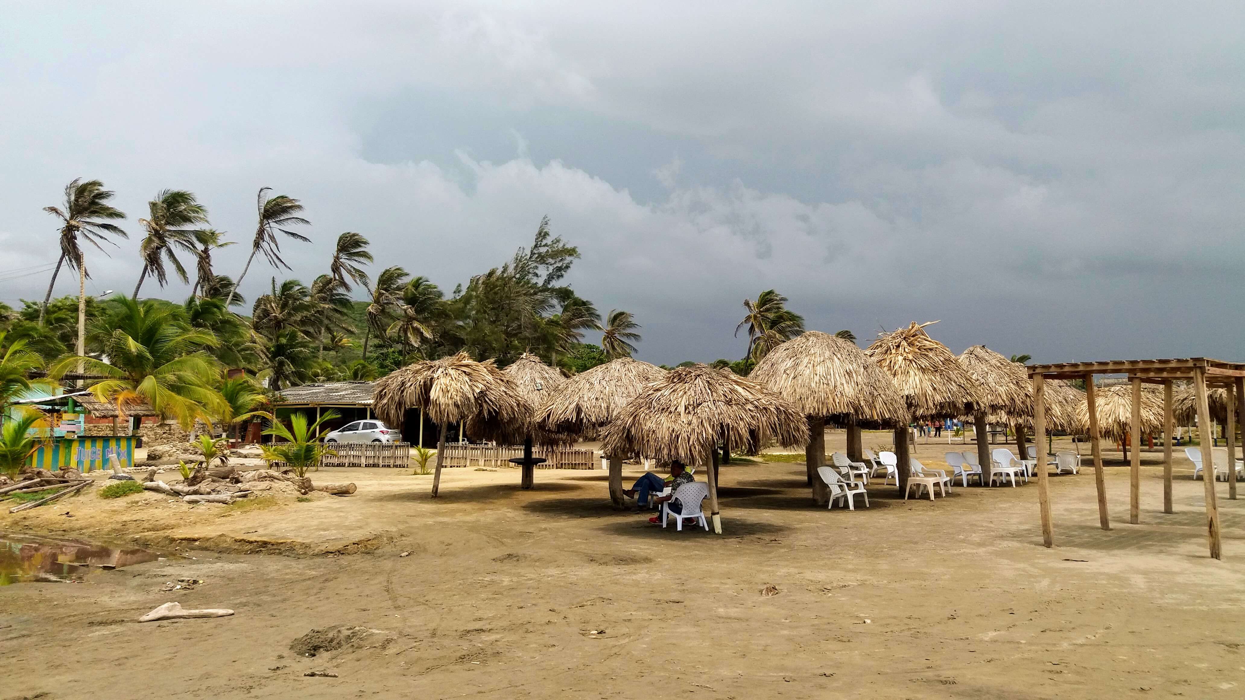 Palmeras en la playa del hotel "Pradomar"