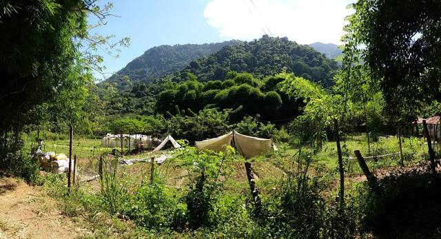 finca cafetalera cerca "Poco Azul"