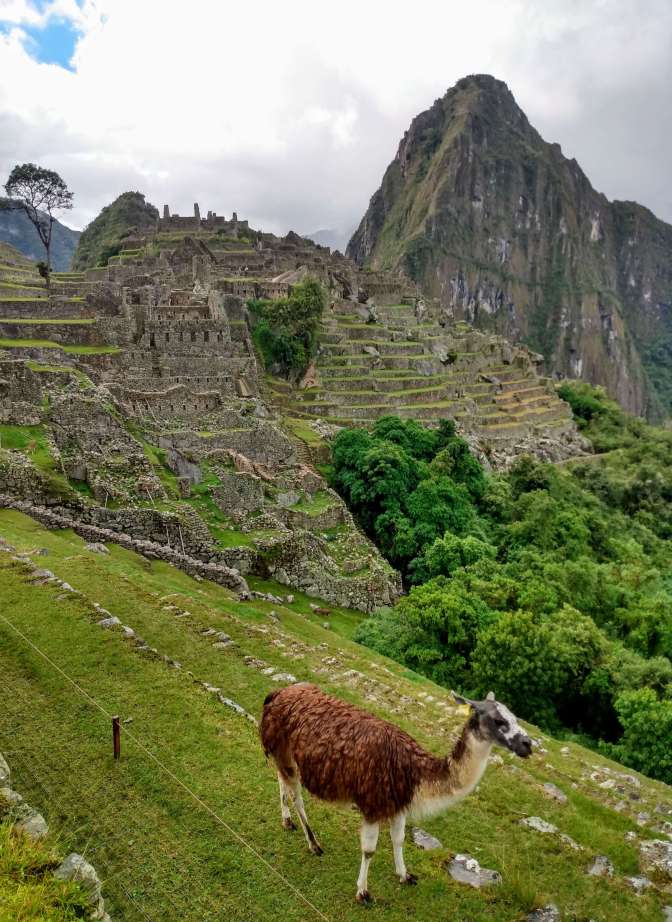 Machu Picchu VI
