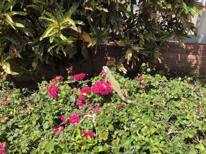 Universidad del Norte